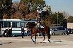Dcim12957/DSC_1599