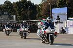 Dcim12960/DSC_2115