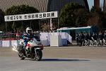 Dcim12961/DSC_2124