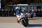 Dcim12961/DSC_2133