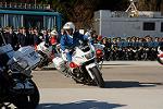 Dcim12961/DSC_2142
