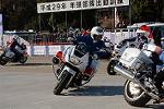 Dcim12961/DSC_2151