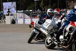 Dcim12961/DSC_2154
