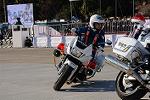 Dcim12961/DSC_2155