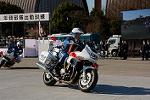 Dcim12961/DSC_2166