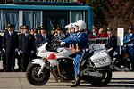 Dcim12961/DSC_2175