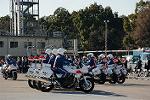 Dcim12961/DSC_2191