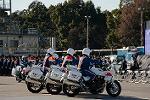 Dcim12961/DSC_2193