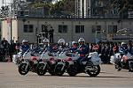 Dcim12961/DSC_2195