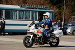 Dcim12961/DSC_2227