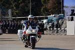 Dcim12961/DSC_2235