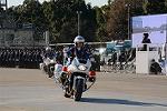 Dcim12961/DSC_2241