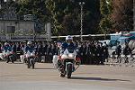 Dcim12961/DSC_2246