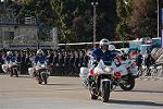 Dcim12961/DSC_2247