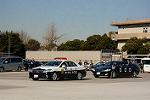 Dcim12962/DSC_2343