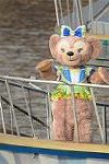 Dcim12964/DSC_2684