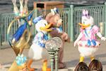 Dcim12965/DSC_2713
