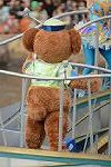 Dcim12965/DSC_2827