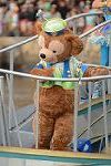 Dcim12965/DSC_2833