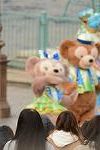 Dcim12965/DSC_2851