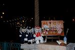 Dcim12969/DSC_3447