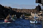 Dcim12976/DSC_7029