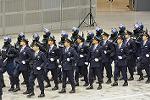 Dcim12978/DSC_4017