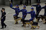 Dcim12978/DSC_4109