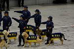 Dcim12978/DSC_4115