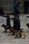 Dcim12978/DSC_4117