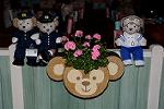 Dcim12982/DSC_4645