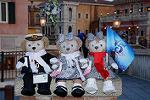 Dcim12987/DSC_5133