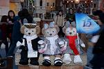 Dcim12987/DSC_5161