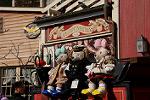 Dcim12994/DSC_5492