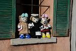 Dcim12996/DSC_5858