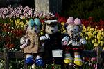 Dcim12997/DSC_5927