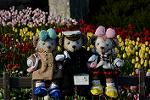 Dcim12997/DSC_5928