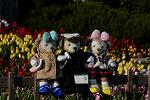 Dcim12997/DSC_5933