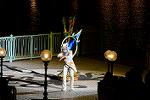 Dcim12997/DSC_6017