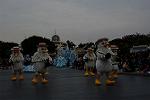 Dcim13008/DSC_7308