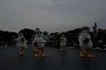 Dcim13008/DSC_7310