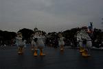 Dcim13008/DSC_7311