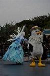 Dcim13008/DSC_7352
