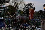 Dcim13009/DSC_7528