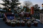 Dcim13009/DSC_7532