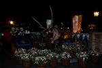 Dcim13015/DSC_8527