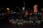 Dcim13015/DSC_8531