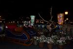Dcim13015/DSC_8532