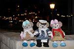 Dcim13016/DSC_8100