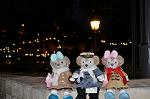Dcim13016/DSC_8102